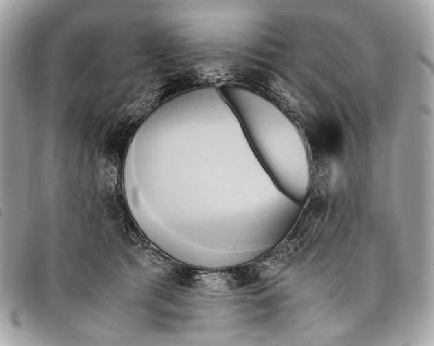 X0000096220417200802081529