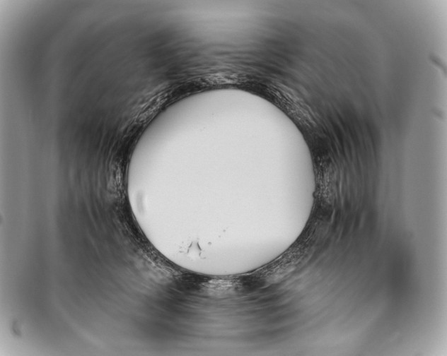 X0000096220418200802081529