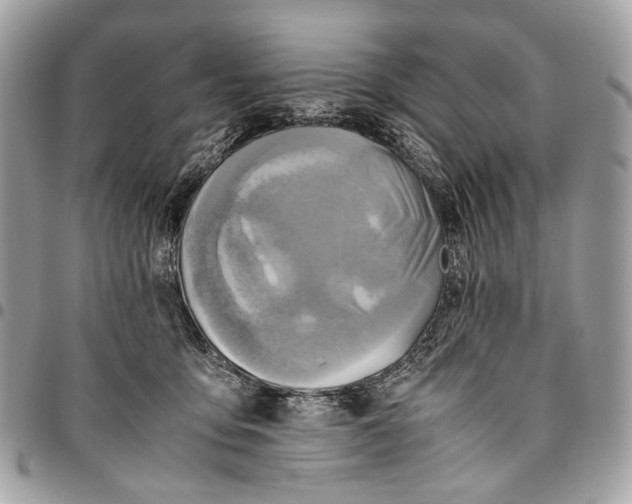 X0000096220419200802081529