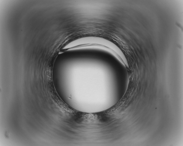 X0000096220421200802081529