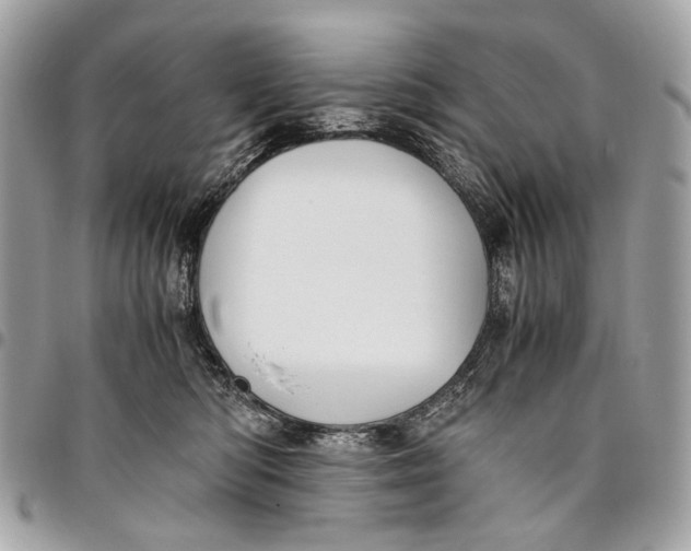 X0000096220422200802081529