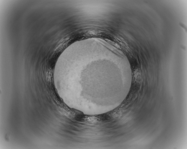 X0000096220423200802081529