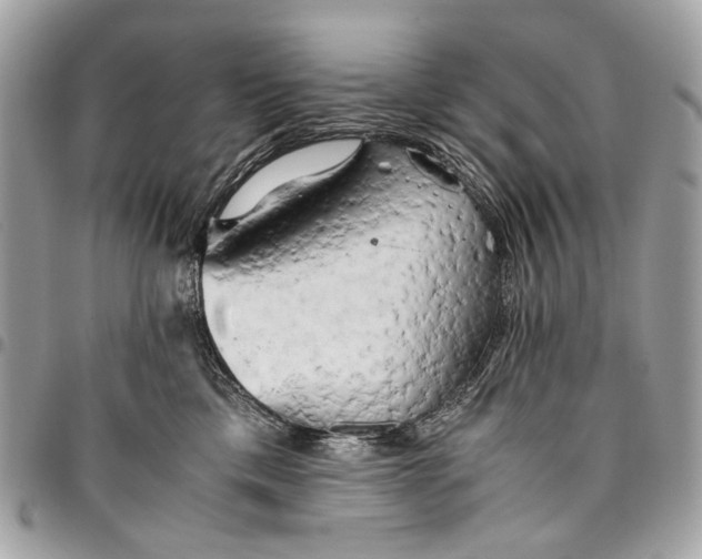 X0000096220425200802081529