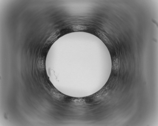 X0000096220426200802081529