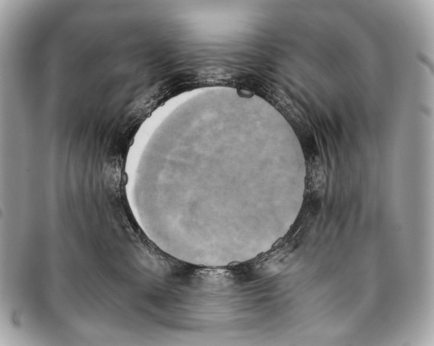 X0000096220427200802081529