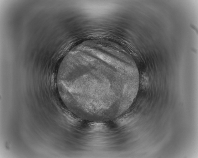 X0000096220428200802081529