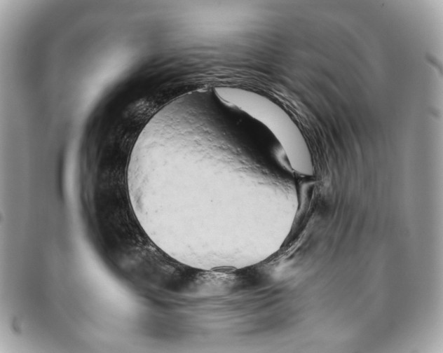 X0000096220429200802081529