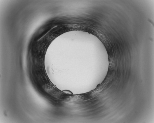 X0000096220430200802081529