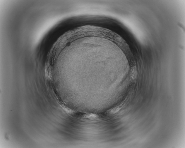 X0000096220431200802081529