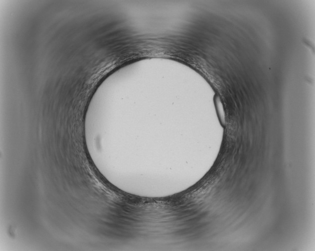 X0000096220433200802081528