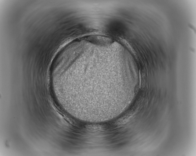 X0000096220435200802081528