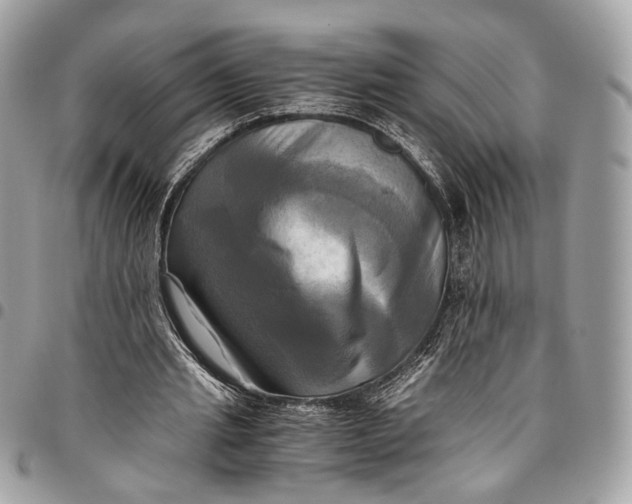 X0000096220437200802081528