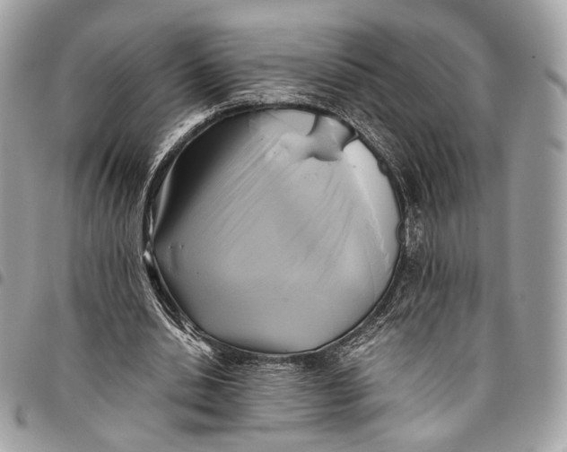 X0000096220438200802081528