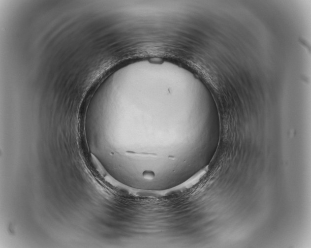 X0000096220439200802081528