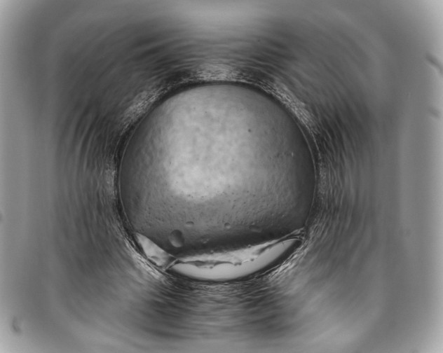 X0000096220441200802081528