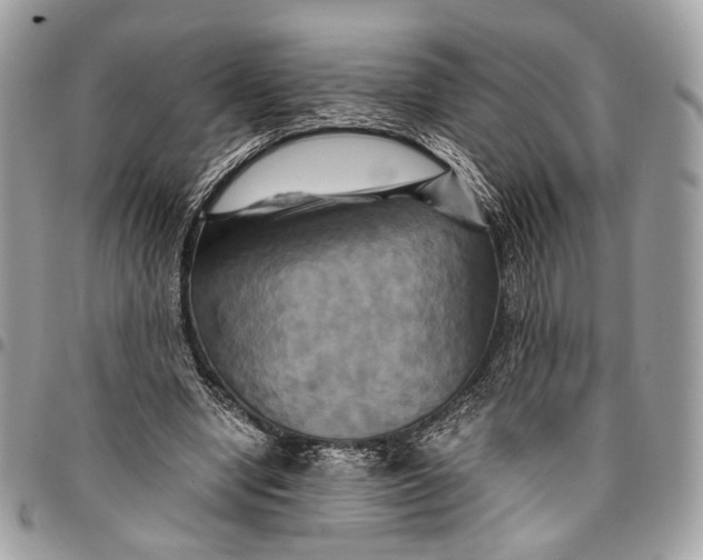 X0000096220442200802081528