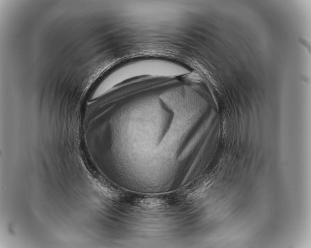 X0000096220444200802081528