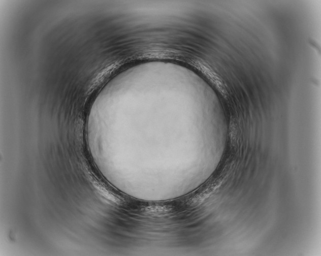 X0000096220445200802081529