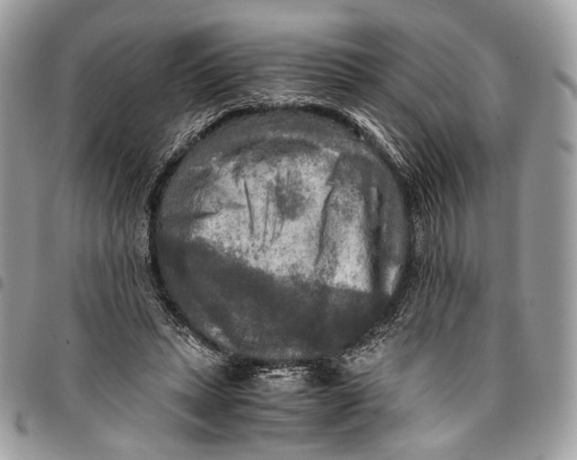 X0000096220447200802081529