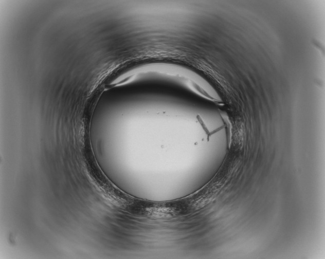 X0000096220448200802081529