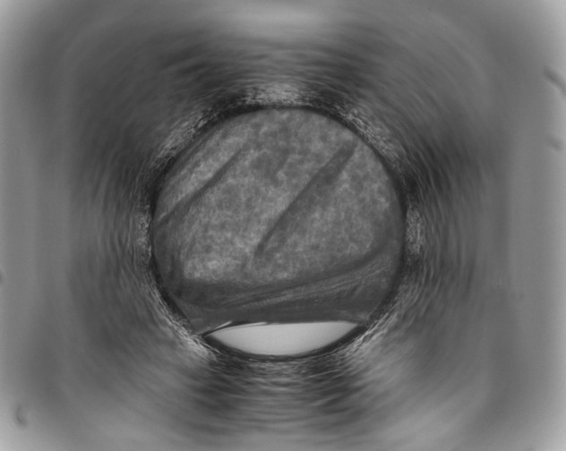 X0000096220449200802081529