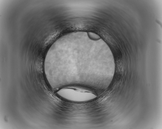 X0000096220450200802081529