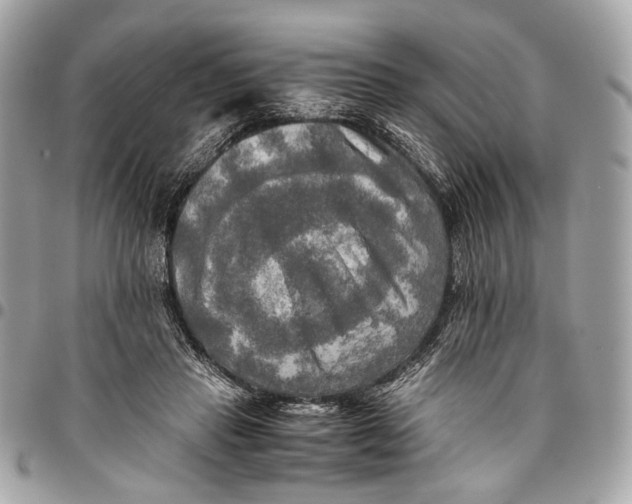 X0000096220453200802081529