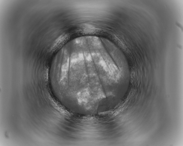 X0000096220454200802081529