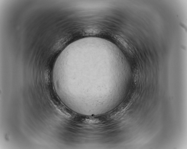 X0000096220455200802081529