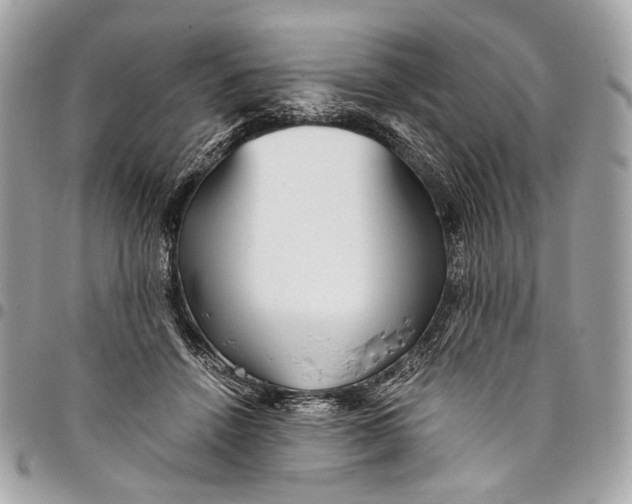 X0000096220456200802081529