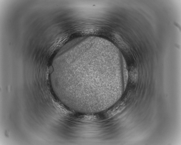 X0000096220458200802081529