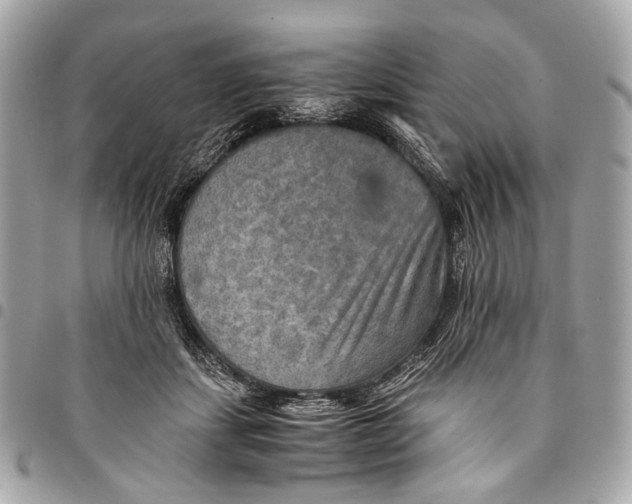 X0000096220459200802081529