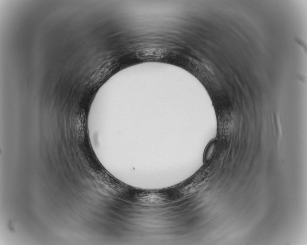 X0000096220460200802081529