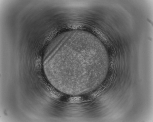 X0000096220461200802081529