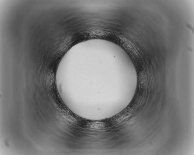 X0000096220463200802081529