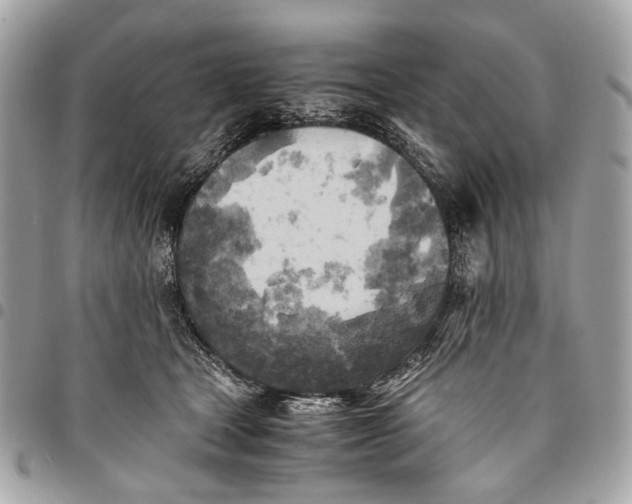 X0000096220465200802081529