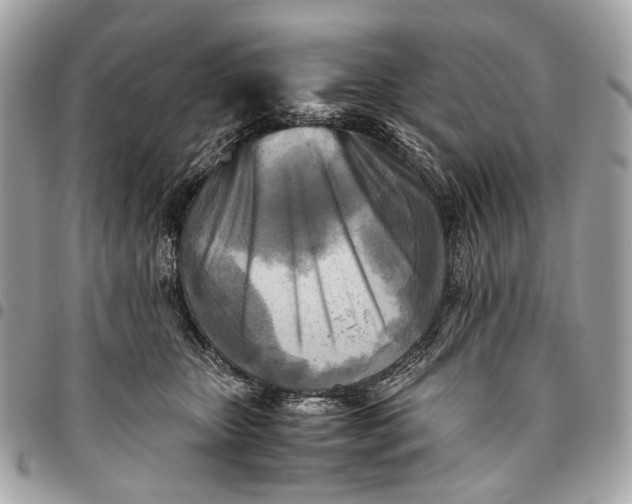 X0000096220467200802081529