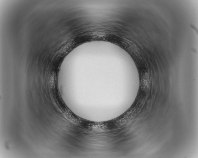 X0000096220468200802081529