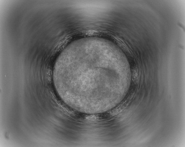 X0000096220470200802081529