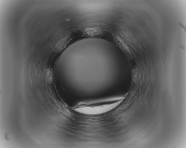 X0000096220471200802081529