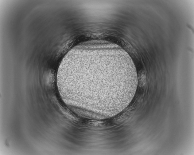 X0000096220472200802081529