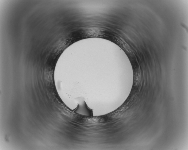 X0000096220473200802081529