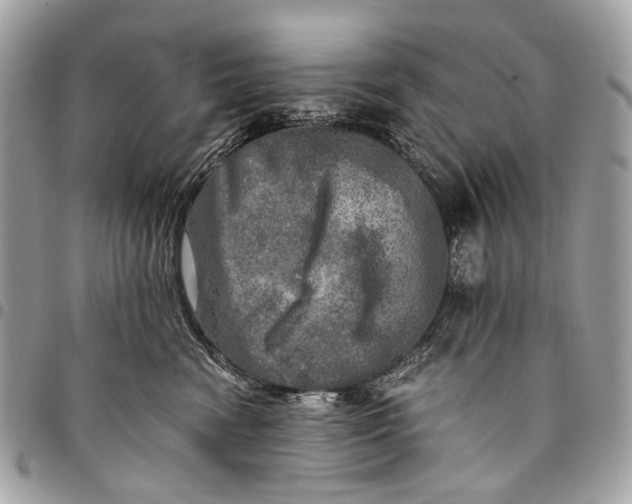 X0000096220474200802081529