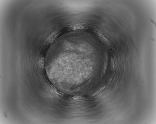 X0000096220475200802081529