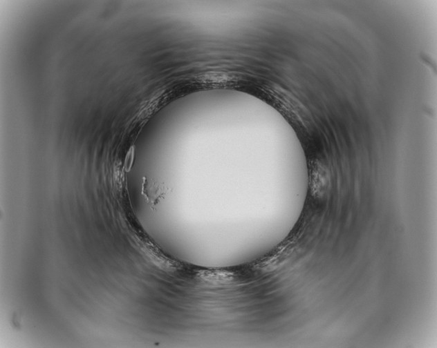 X0000096220476200802081529