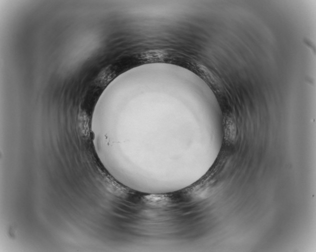 X0000096220477200802081529