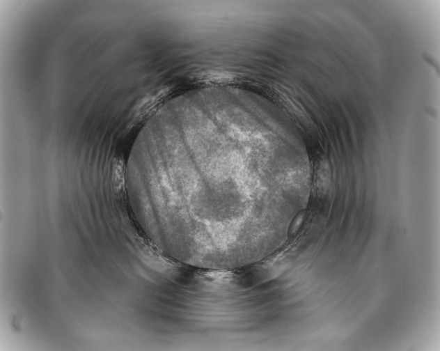 X0000096220478200802081529