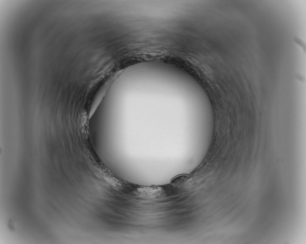 X0000096220480200802081529