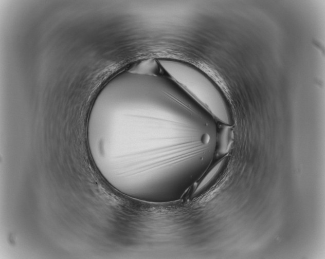 X0000096220481200802081528