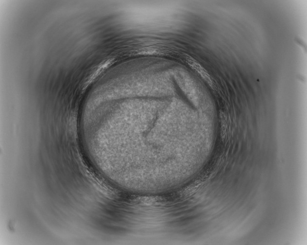 X0000096220482200802081528